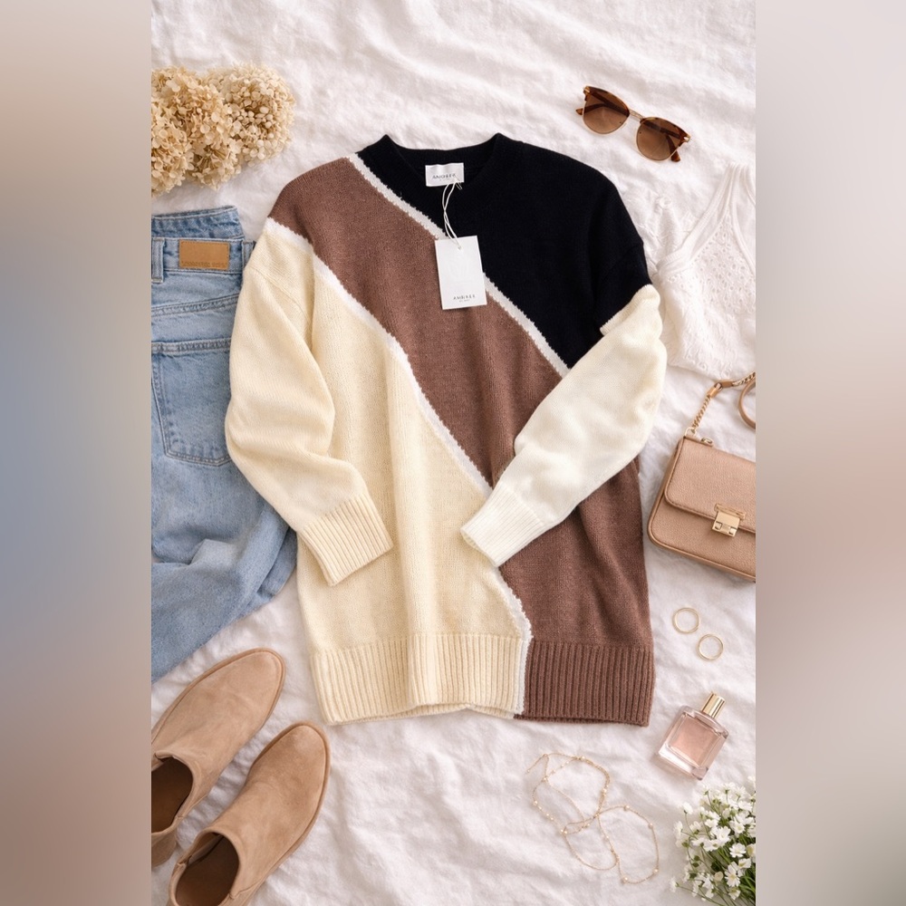 Andree Colorblock Soft Crew Neck Sweater - Size 1X NWT